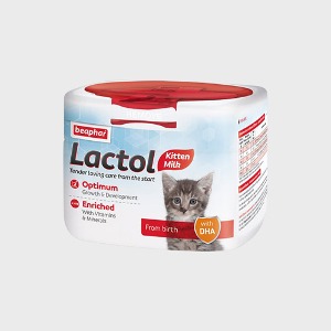 비어파 고양이전용 락톨 키튼 영양보충식 분유 250g 