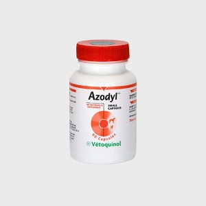 [아이스박스 출고] 베토퀴놀 아조딜 Azodyl 신장 유산균 영양제90캡슐 