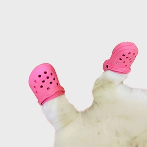 냥록스 고양이 신발 (사진 촬영용 소품) 